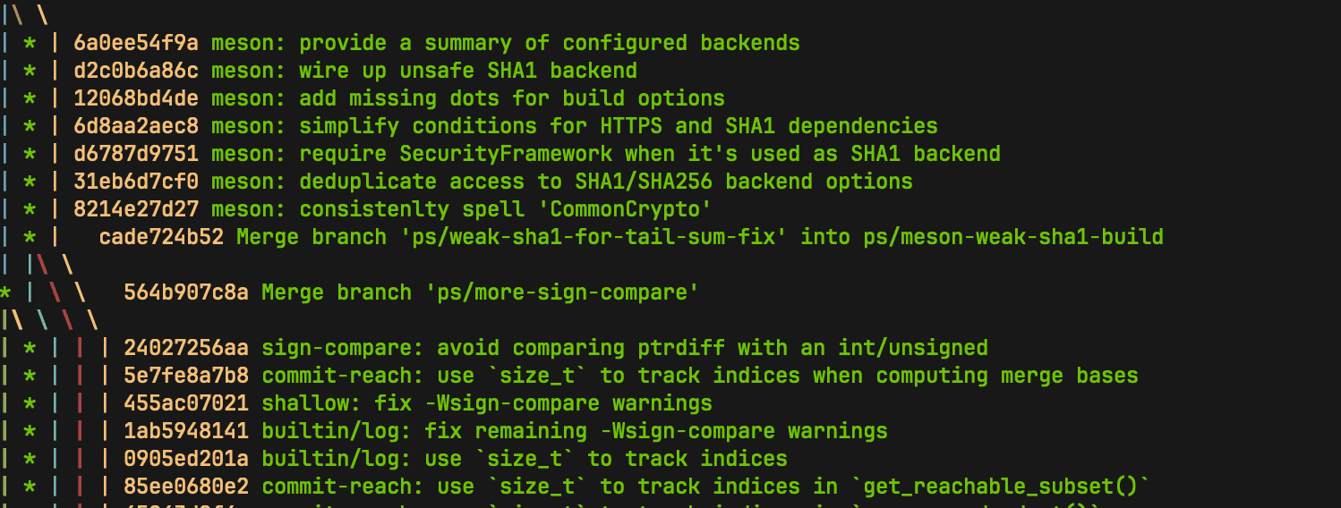 Remote Shared Repository di VPS